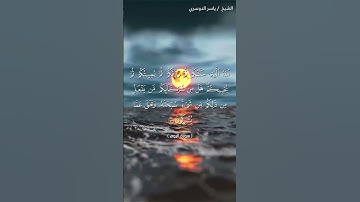 سورة الروم من  آية 40 إلى آية 41 بصوت الشيخ ياسر الدوسري♥♥