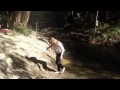 Woman falls off rope swing into creek while fully clothed