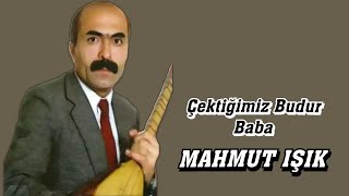 AŞIK MAHMUT IŞIK ÇEKTİĞİMİZ BUDUR BABA Resimi