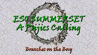 ESO Summerset Psijic Order breaches on the bay