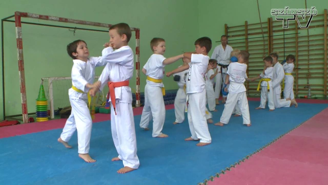 Karate tábor 2016 - Balatonszárszó