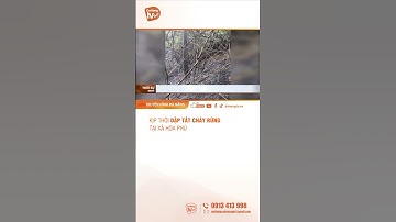 #shorts KỊP THỜI DẬP TẮT CHÁY RỪNG TẠI XÃ HÒA PHÚ