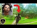 Man Runs From Police and Instantly Regrets It