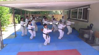 Team-M Taekwondo Taegeuk 7