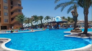 جولة في الغردقة ( seagull Beach ) | بيتي هو حياتي