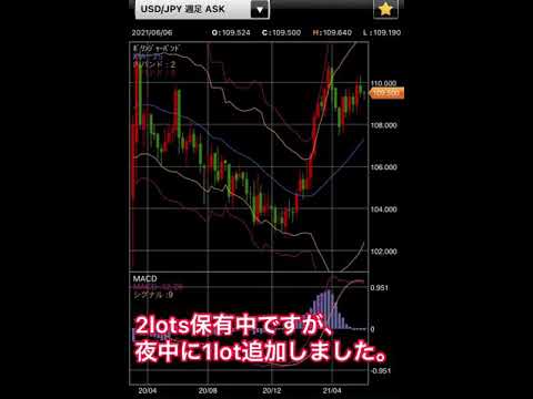 FX複利運用1日5pipsチャレンジ172日目