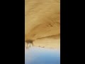 @bjbaldwin killing drones with his roost! The Cali 300 is coming October 12th-16th to Barstow, CA.