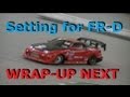 Wrap-Up FR-D 2WD RC Drift Setting