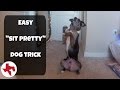 Teach your dog to Teach your dog to