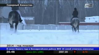 Год лошади для Казахстана обещает стать особенным