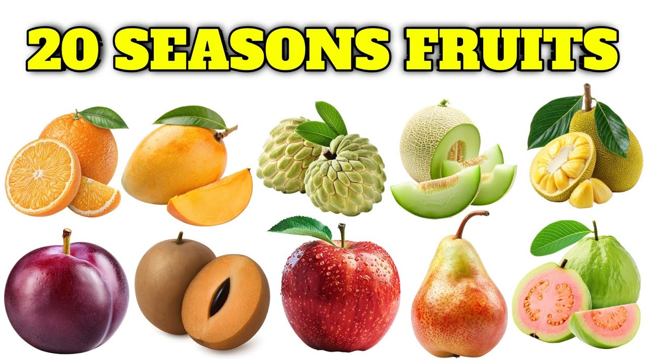 20 मौसमी फलों के नाम | Seasonal Fruits Name in Hindi & English | Kids Learning Video | Abu Guru