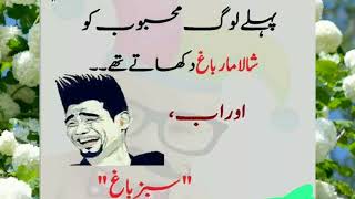 funny jokes that make you laugh so hard 24 ll urdu funny jokes ll funny joke by funny jokes gallery