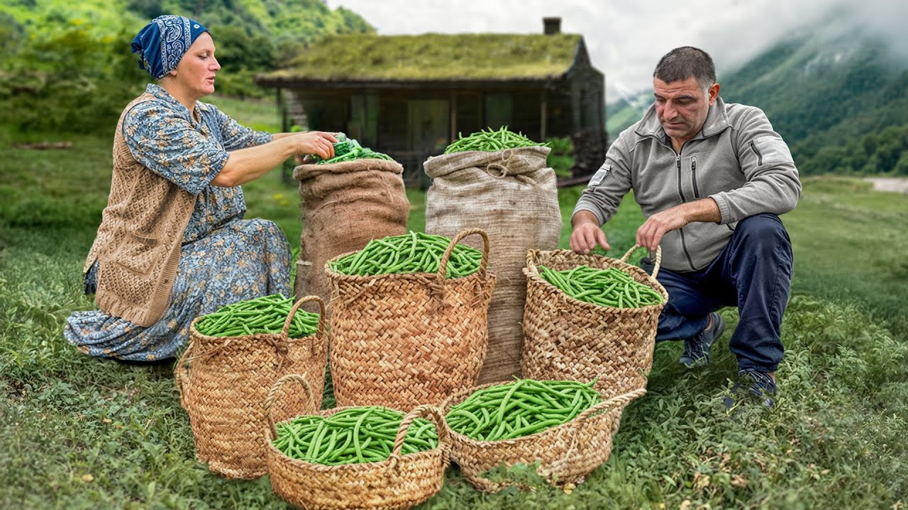 Cosechamos Frijoles y Cocinamos la Receta Más Tradicional