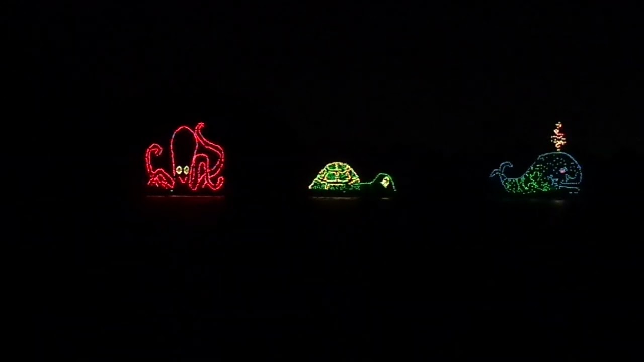 Disney 2013   Lake Parade