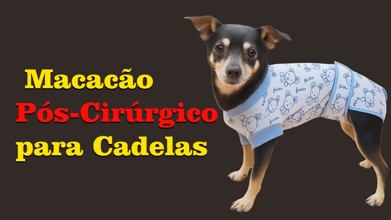 Macacão Pós-Cirúrgico para Cadelas – Passo a Passo com Molde e Acabamento Perfeito