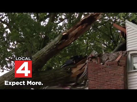 Local 4 News at Noon -- June 12, 2026