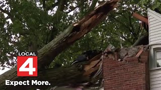 Local 4 News at Noon -- June 12, 2026