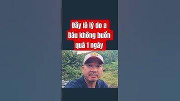 Đây là lý do a Báu không buồn quá 1 ngày #lavlognt #doanvanbau