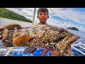 Magagandang isda sa harap ng abandunadung beach.