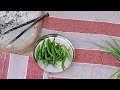 मिर्ची बड़े साथ में हरी चटनी खाना लाइव है देखें #villagelife #desi #khana #food