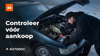 Hoe je een tweedehands auto kiest zonder er spijt van te krijgen screenshot 4