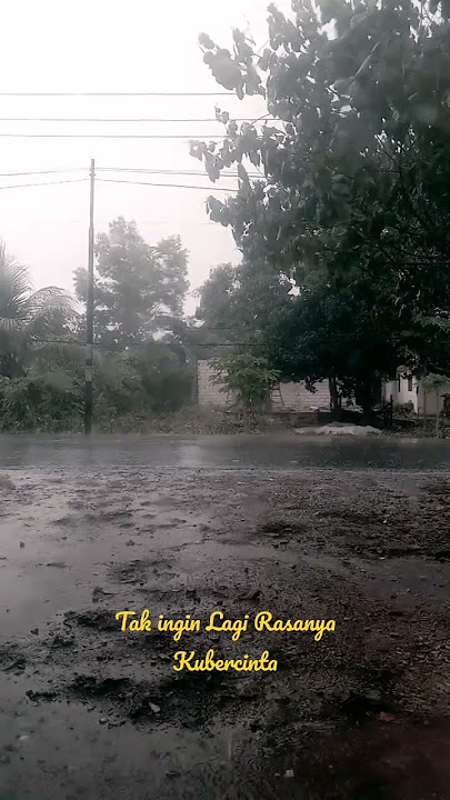 Taxi - Hujan Kemarin | Tak ingin lagi rasanya kubercinta