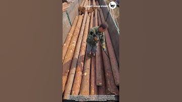 The process of unloading timber wood logs