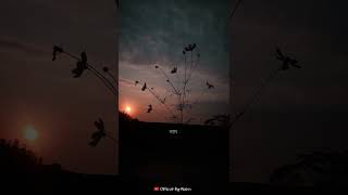 Mon Tomake Chuye Dilam Bengali Whatsapp Status