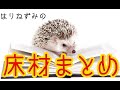 ハリネズミの床材のメリットデメリット！コーンリター、広葉樹マット、ペットシーツ、くるみリター、人工芝など