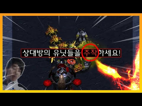 서로 주작하며 싸우는 &amp;#39;피닉스 컨트롤&amp;#39; ㅋㅋㅋ - [스타 유즈맵]