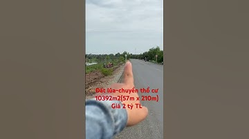 (Đã bán)Đất lúa-khu vực chuyển thổ-Đối diện đường tỉnh DT 818-10392m2(57m x 210m)-Giá 2 tỷTL-Đức Huệ