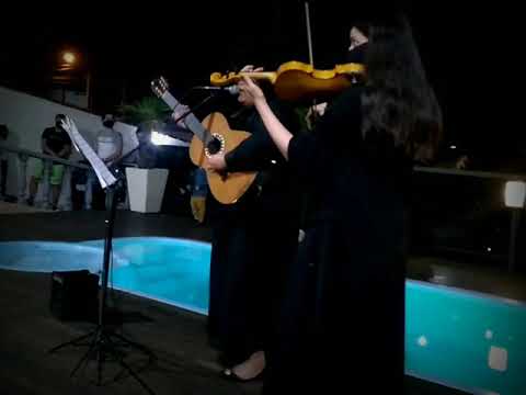 Voz, violão e violino