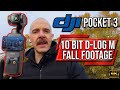 DJI Pocket 3 In Surrey BC - 4k 10 Bit D-Log M Footage - The Best Vlog Camera #dji #vlog #camera
