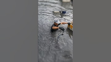 Crayfish vietnamese | Cách bắt tôm CÀNG XANH cực dễ Ở MIỀN TÂY #tomcanhxanh #crayfish