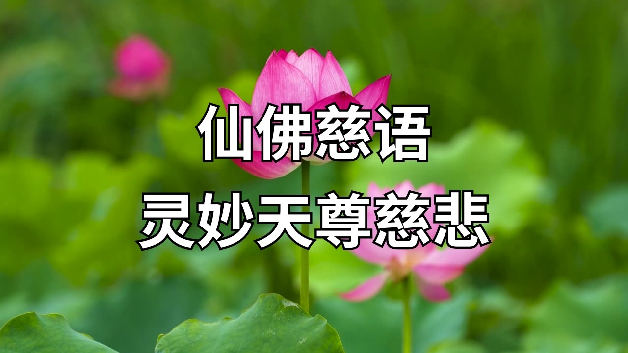仙佛慈語 | 靈妙天尊慈悲 - YouTube