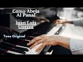 Como abeja al panal  juan luis guerra piano karaoke