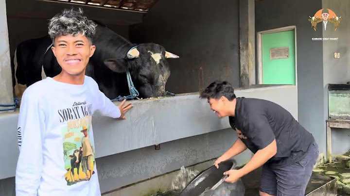 #2 MAS IYUN nedi ilmu di BERKAH SETIA FARM