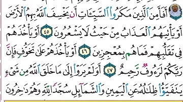 (10) تلاوة بصوت القارئ هزاع البلوشي سورة النحل، الآيات: 43-48