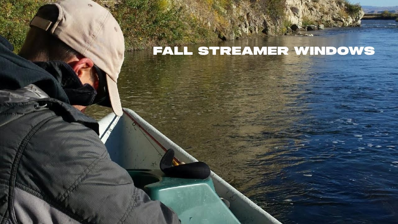 Streamer Free Fall How to become a Better Streamer Angler: Fall Windows - YouTube
