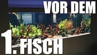 Das Ex-Urwaldaquarium - Entwicklung, Wasserwerte, Technik-Check‘