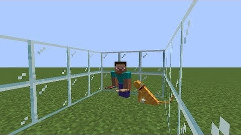 Minecraft 1.14.1:How to tame cats