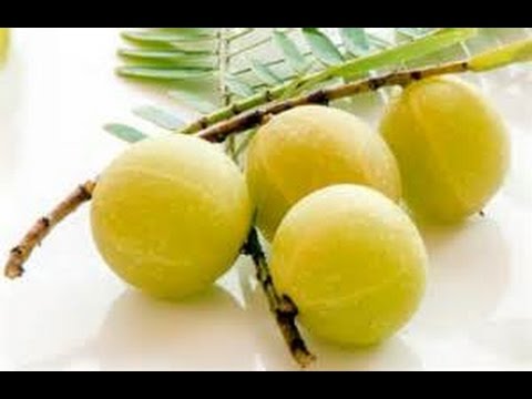 Video: 4 Kesan Sampingan Gooseberry India Yang Boleh Membuat Anda Berfikir Dua Kali Mengenai Memakannya