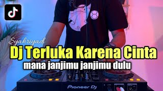 DJ TERLUKA KARENA CINTA REMIX MANA JANJIMU JANJIMU DULU FULL BASS