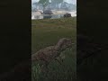 These Carnos Made a BIG MISTAKE! | The Isle Evrima *Shorts*