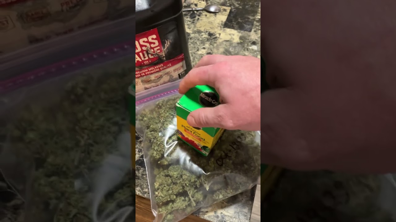 Best instructions on how to grow using miracle grow and black molasses for marijuana outdoors