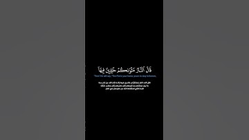 سورة الأنعام:الآية[١٢٨-١٢٩]#القرآن_الكريم #الفرقان #سورة_الأنعام #ياسر_الدوسري #القران_الكريم #قران