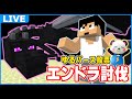 【エンドラRTA】まだ夏休みは終わってない。