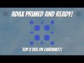 Adax is looking strong  number 1 dex on cardano