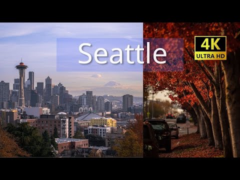 Vídeo: Kerry Park: O Guia Completo