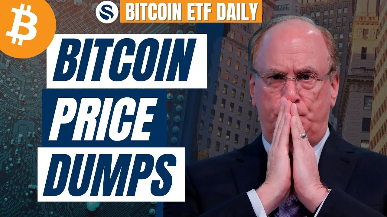 Why Did the Bitcoin Price Dump? | Larry Fink on CNBC